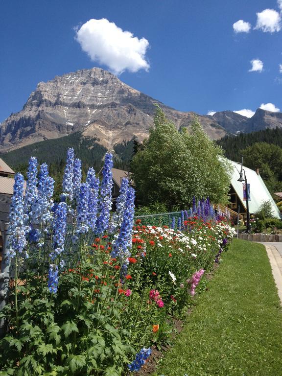 Canadian Rockies Inn - Adults Only Field Bagian luar foto