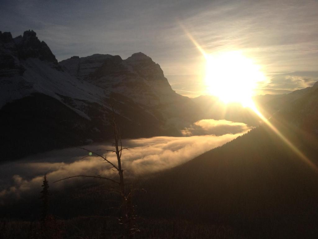 Canadian Rockies Inn - Adults Only Field Bagian luar foto